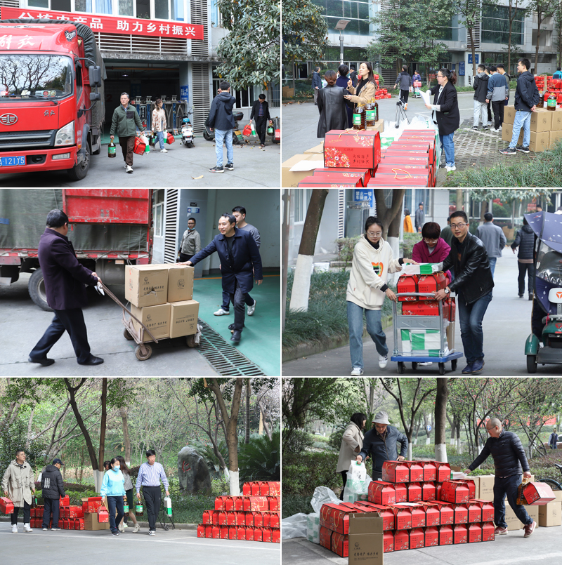 ivcA_1679621040588023399.png 图片3.png