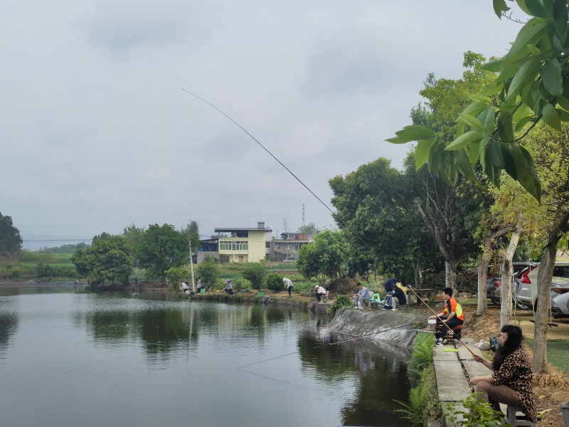 钓鱼比赛6.jpg